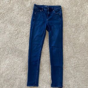 Tommy Bahama Denim High Rise Skinny Jean